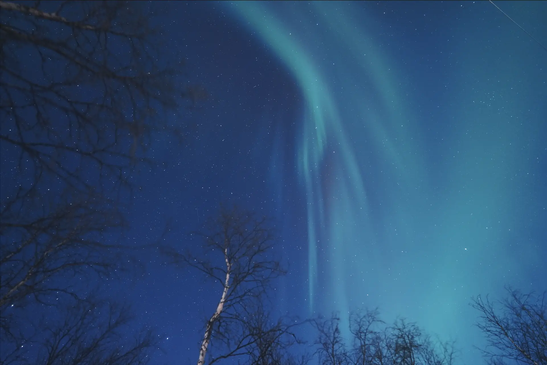 Northern Lights Chase – Tromsø Friluftsenter